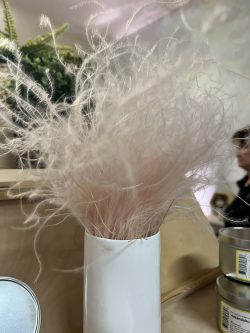 Wispy | Soft | Airy