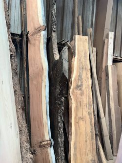 Natural | Imperfect | Tree Life