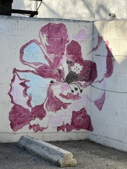 Unexpected | Girly
