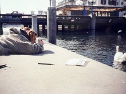 artist eye | life | nature