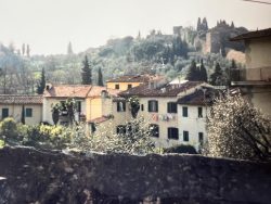 light | slow living | Tuscan